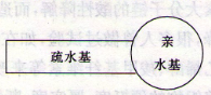 表面活性劑與助劑概述