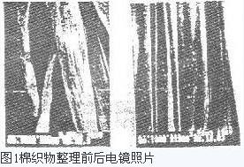 殼聚糖與纖維素的結(jié)合及其抗菌性能的研究