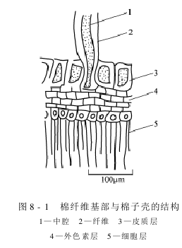 概述 軋花機(jī)理