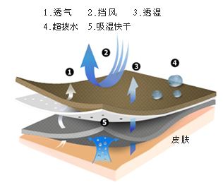 TPE無(wú)孔防水透濕膜面市